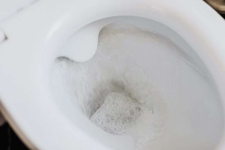Can You Flush Food Down the Toilet?
