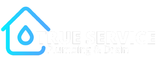 TRUE SERVICE PLUMBING & DRAIN LOGO (500 × 200 px)