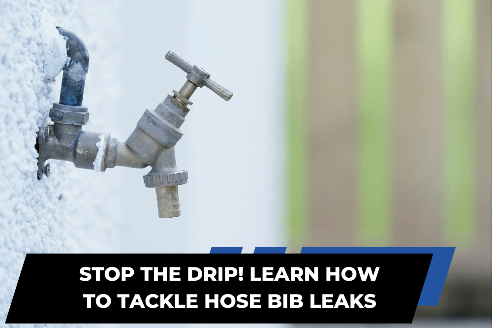 Illustration of a hose bib in a garden setting