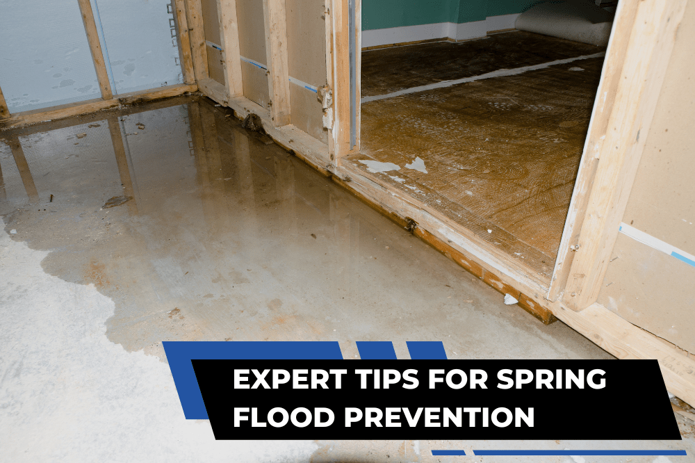 Image of a flooded basement with water damage