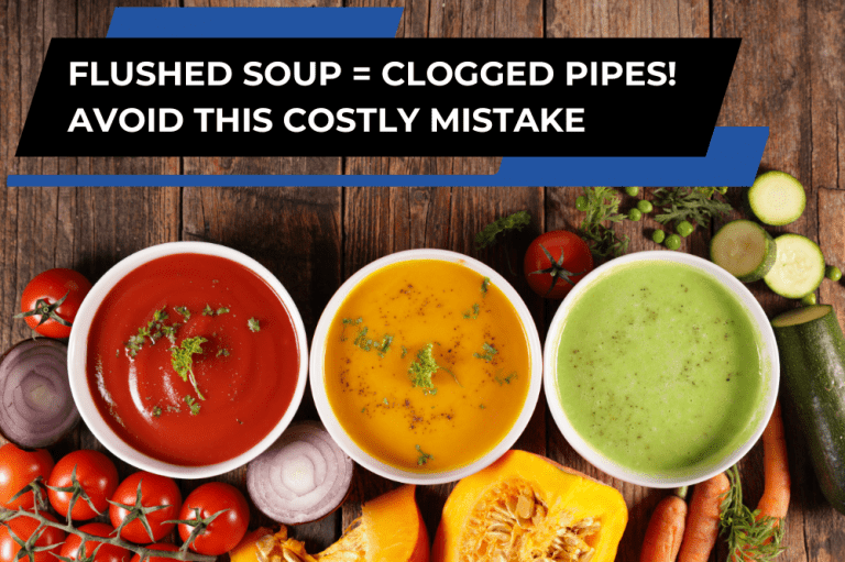 Can I Flush Soup Down the Toilet?