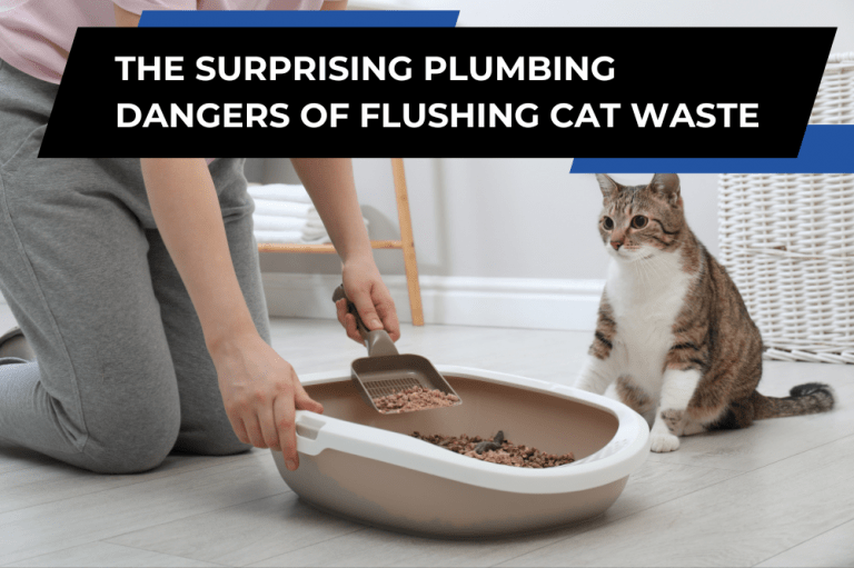 Can You Flush Cat Poop Down the Toilet?