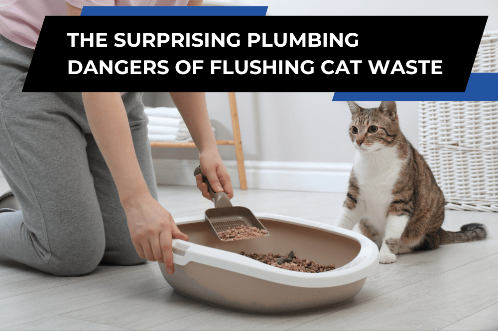 Homeowner scooping cat litter with curious cat nearby, highlighting plumbing dangers of flushing cat waste